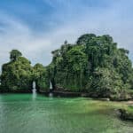 Bird Island | Bocas Del Toro